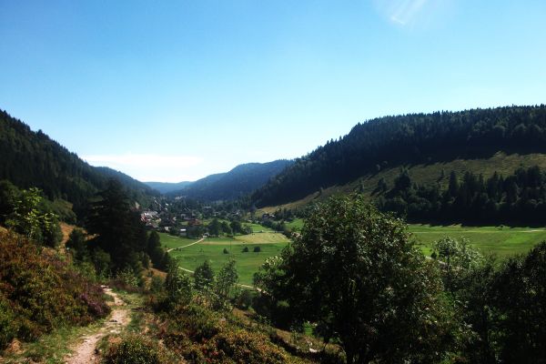 Land-gut-Hotel Großbach (Sankt Blasien)